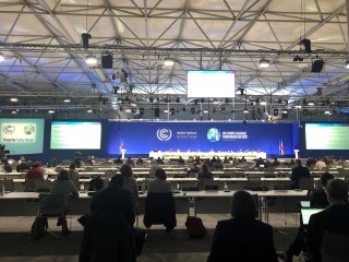 IPCC Panel at COP26